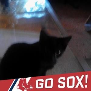 Meet your Posher, Marianne